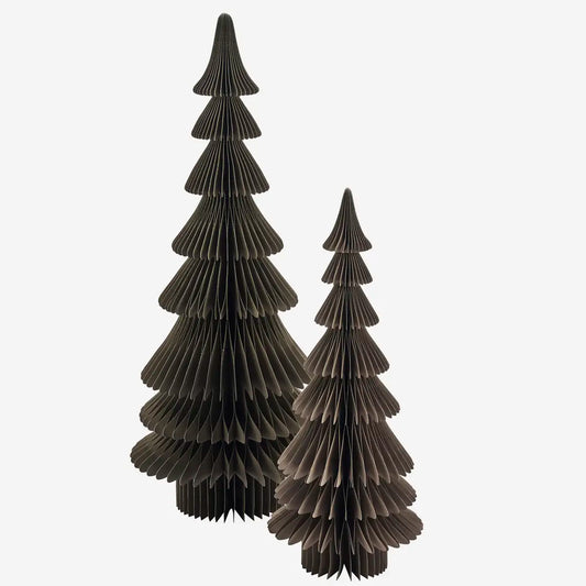 Árbol de papel-Grisáceo pequeño